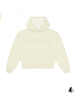 Distressed Hoodie Alpha Kappa Psi University of Iowa