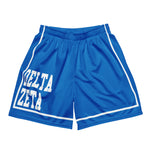 Mesh Shorts Delta Zeta Illinois State University