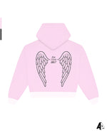 Wings Zip Up Pi Beta Phi San Diego State University