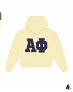 Distressed Hoodie Alpha Phi University of Michigan Ann Arbor