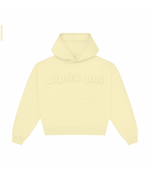 Distressed Hoodie Alpha Phi University of Michigan Ann Arbor