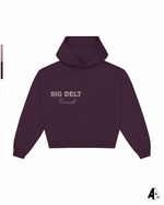 Bedazzled Hoodie Sigma Delta Tau Cornell University