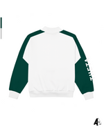 Mockneck Kappa Alpha Theta Michigan State University