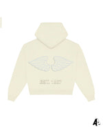 Wings Hoodie Pi Beta Phi Vanderbilt University