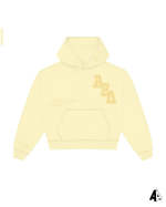 Distressed Hoodie Alpha Xi Delta Syracuse University