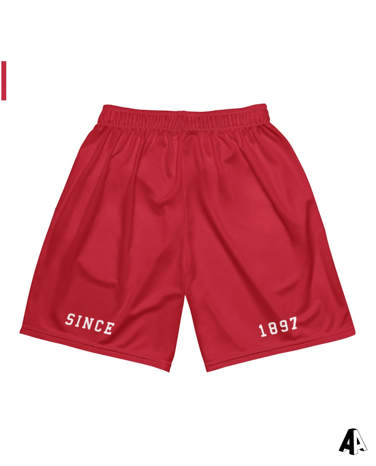 Collegiate Mesh Shorts