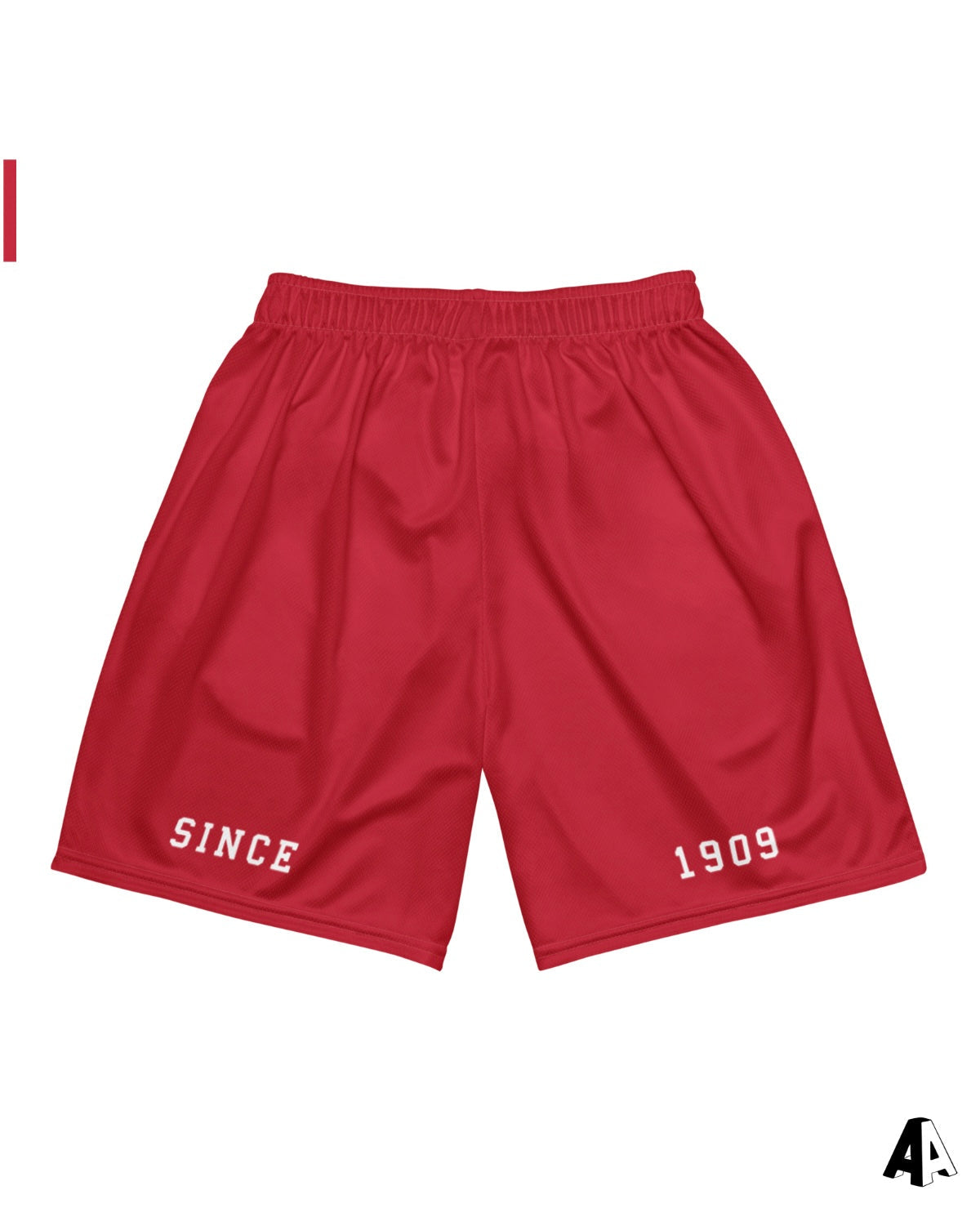 Collegiate Mesh Shorts